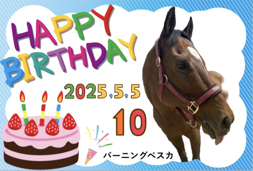 バーニングペスカ誕生日！引退馬たちに贈るバースデードネーション開始しました！