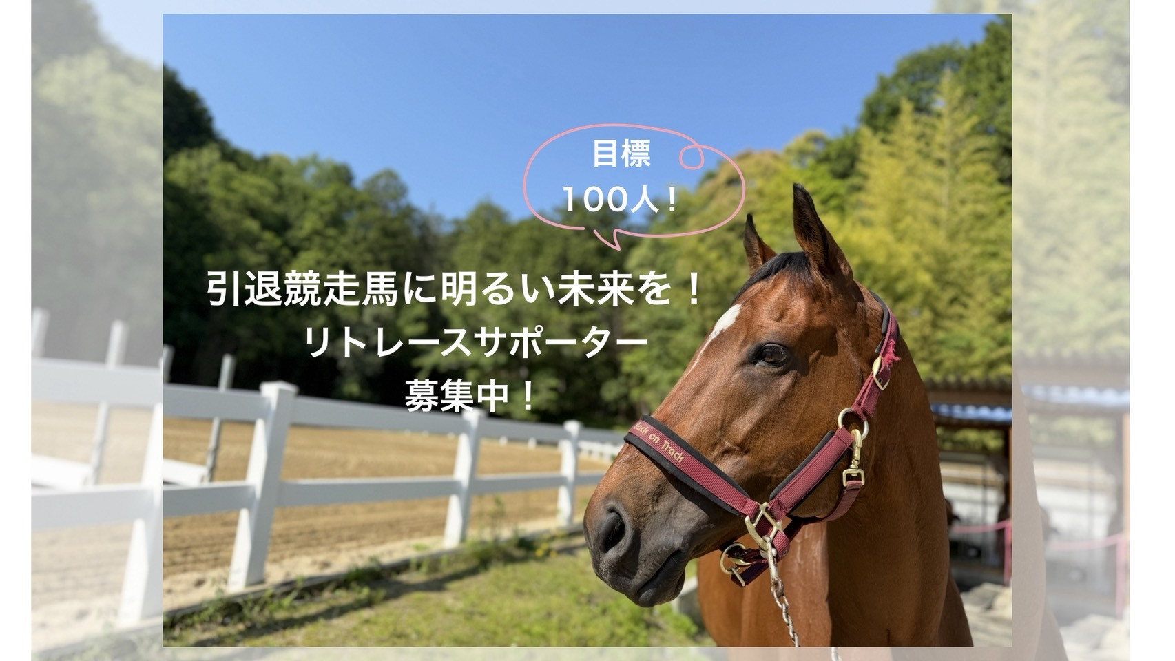 リトレースサポーター募集開始！