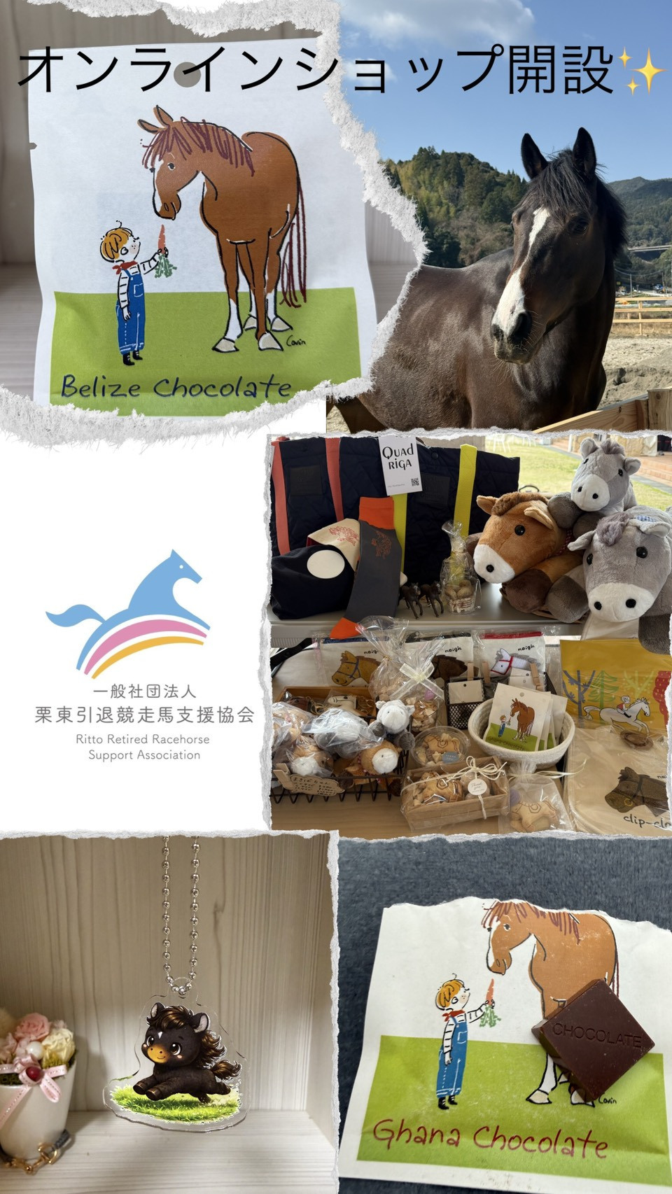 栗東引退競走馬支援公式オンラインショップを開設しました！