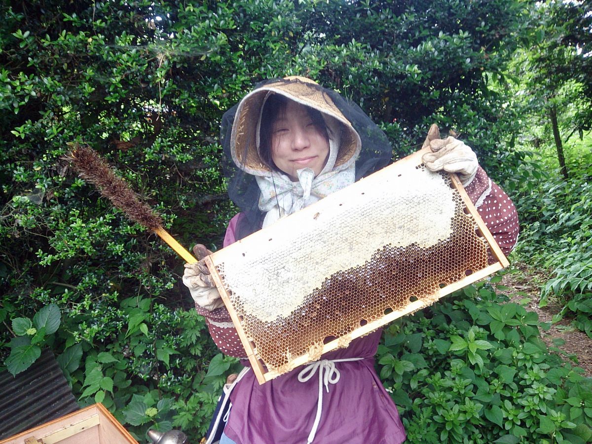 花の香りを閉じ込めた完熟ハチミツをお届けします