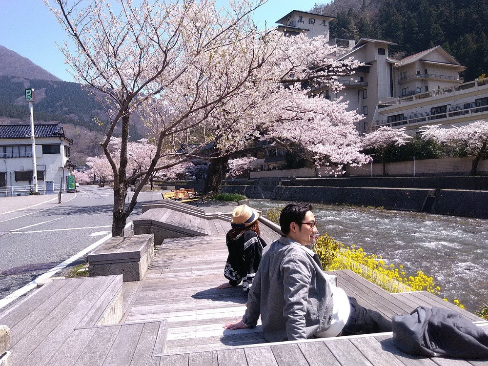 春は桜が満開