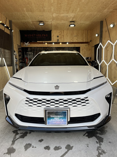 定期メンテナンス洗車