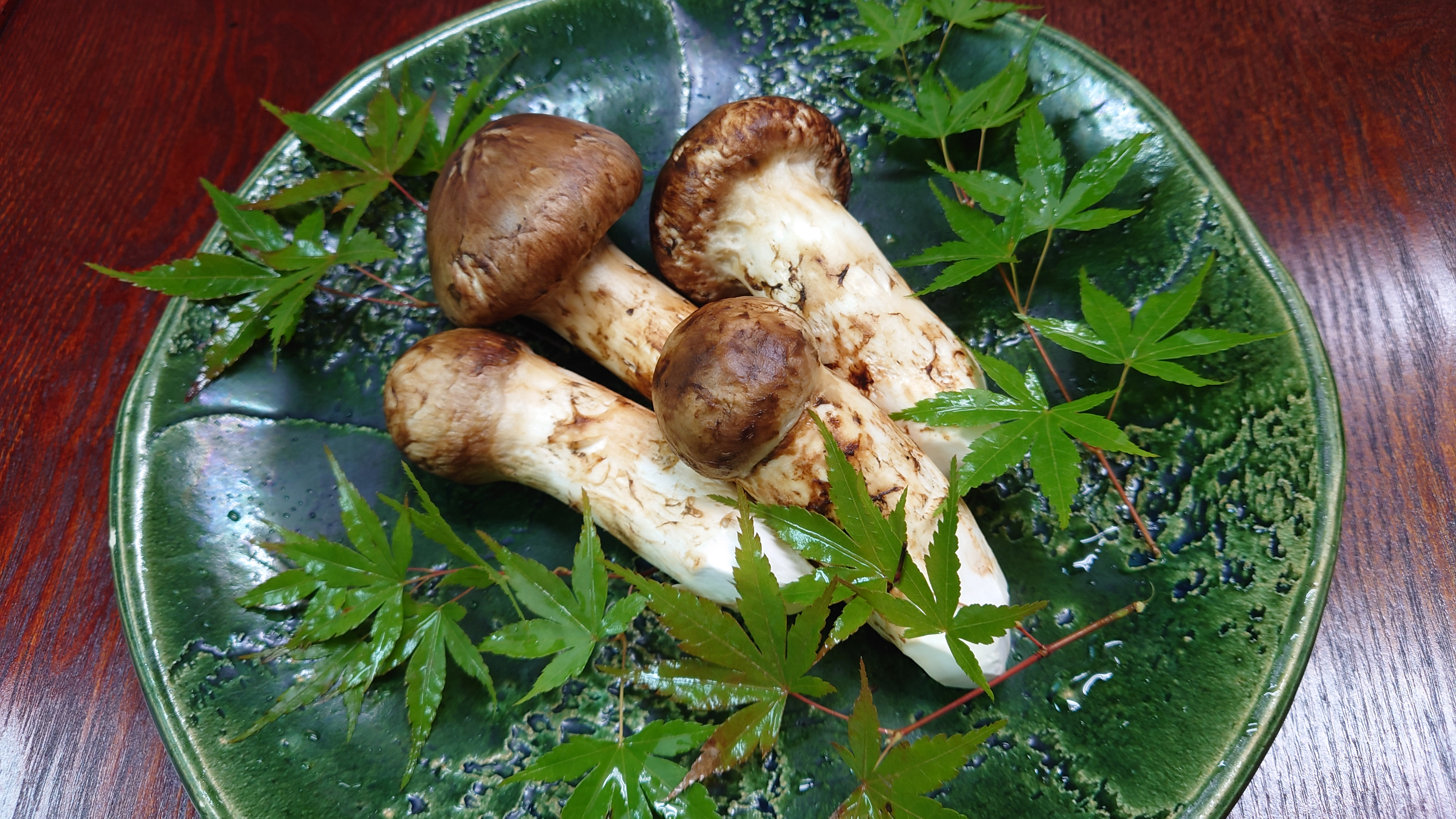 季節限定　松茸プラン