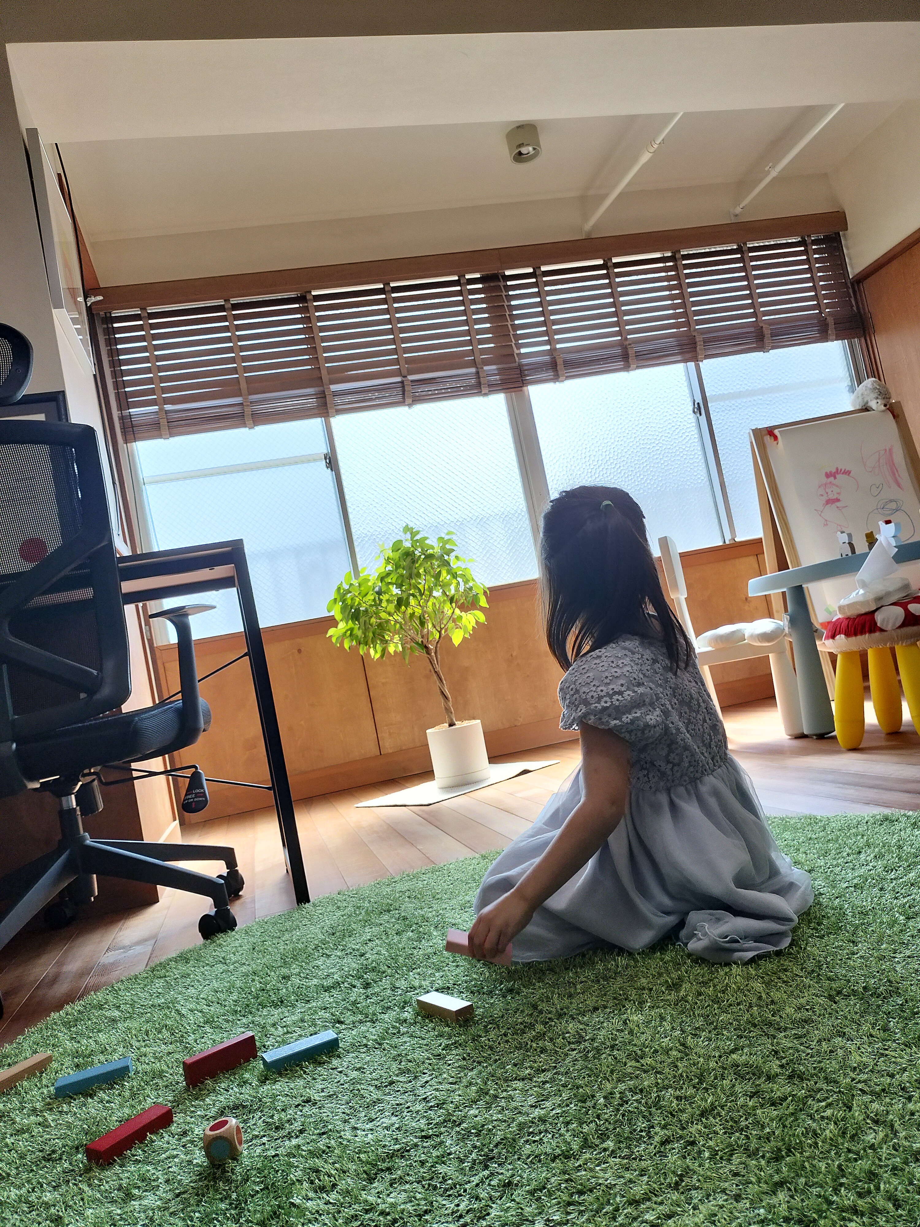 🌳僕のたねかし🌳