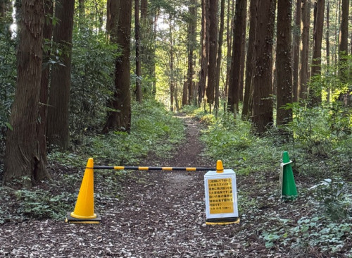 悪天候・強風時は臨時休園(木育体験も休止)の場合があります