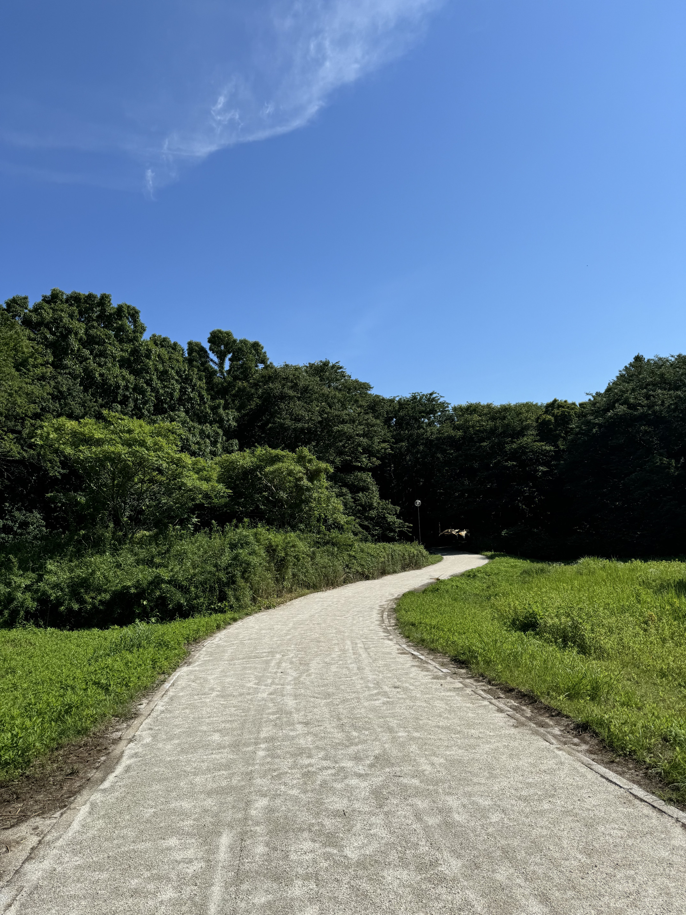 バードウオッチングも楽しく♬