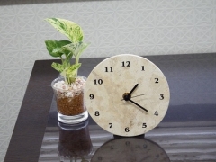 DSCF0649 10%に縮小.jpg
