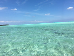 海3.jpg