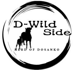 D-Wild Side