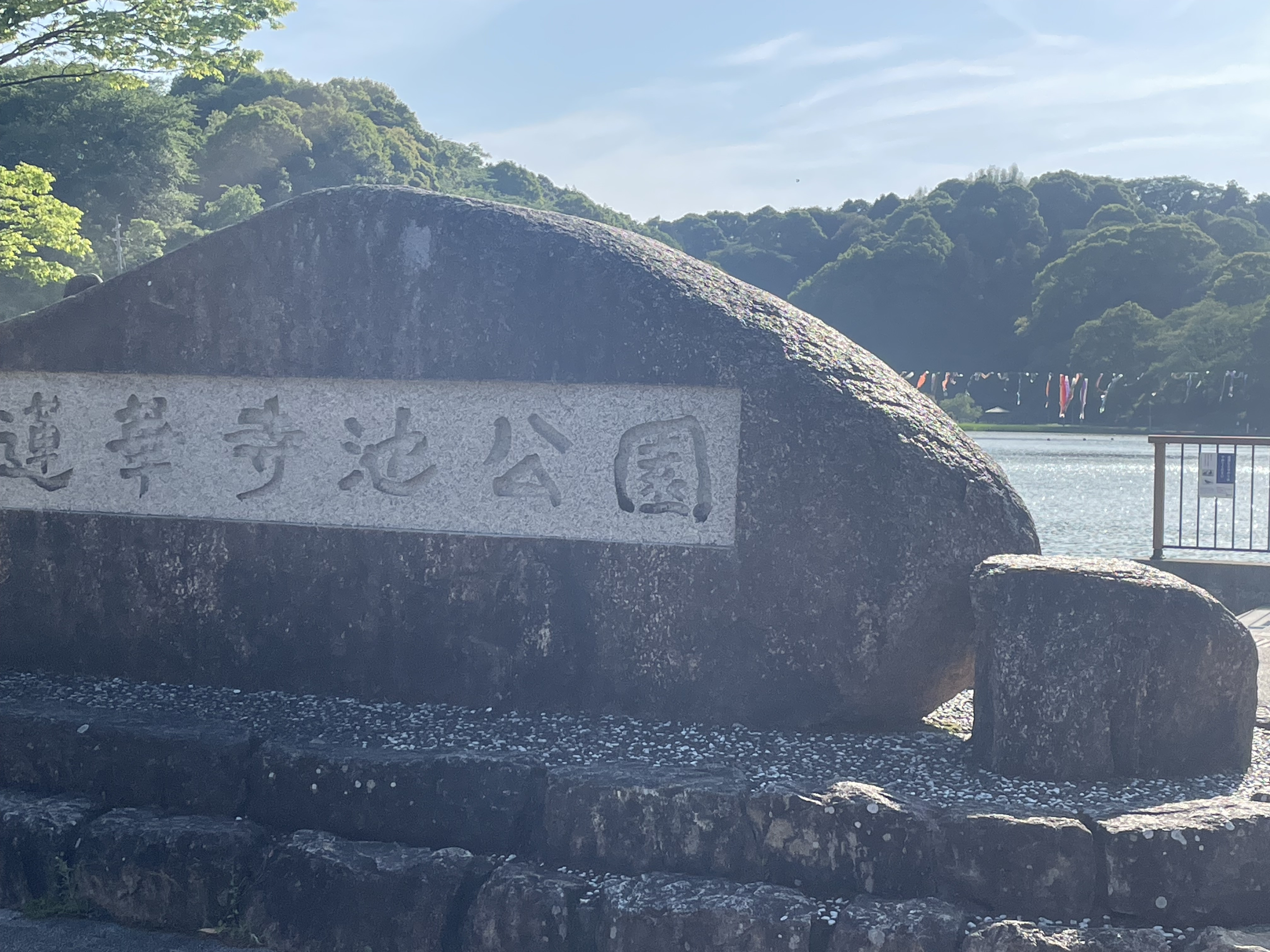 蓮華寺池公園散歩