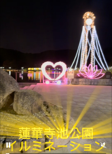 蓮華寺池公園イルミネーション散策
