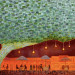 46BABB56-0A13-422B-804C-A0B48017F927.jpeg