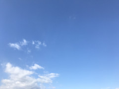 IMG_8560.JPG