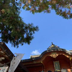 初詣⛩