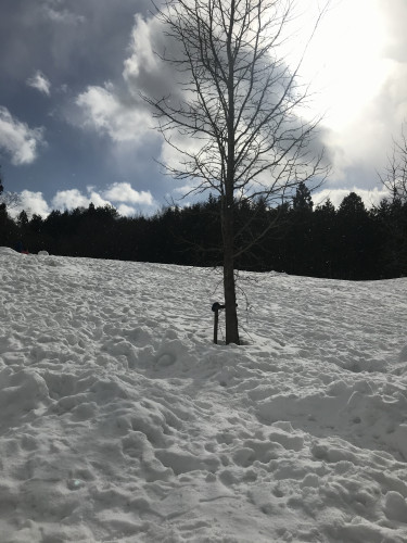 雪!!!!