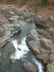 DSCN5340.JPG