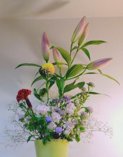 風が冷たいです