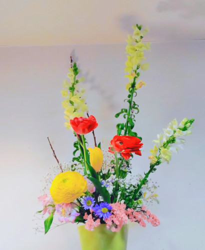 桜の蕾が膨らんできました