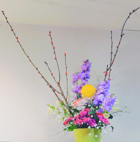 来週は桃の節句