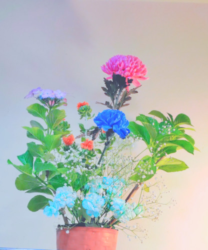 梅雨本番