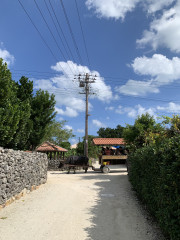 竹富島に行ってきたんです。