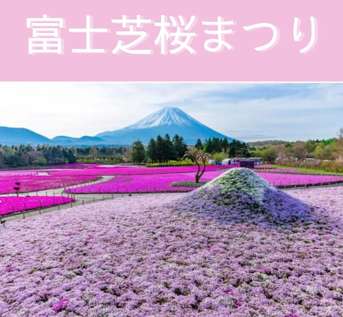 5月の連休のお知らせ