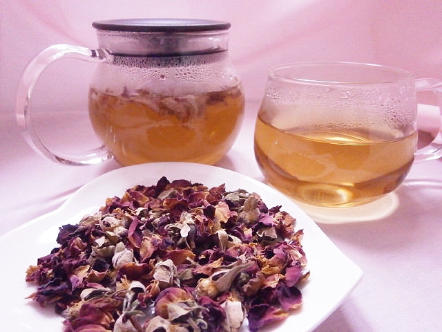 PB095483.JPG