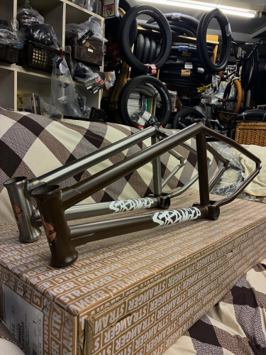 待望のフレーム入荷！