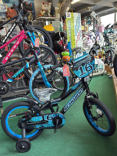 最終売り尽くし！