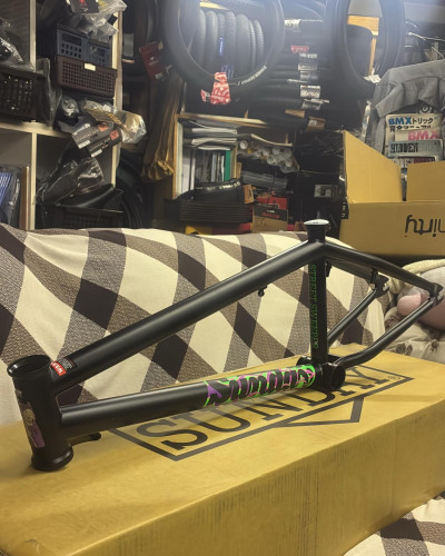 店長イチオシのフレーム入荷!