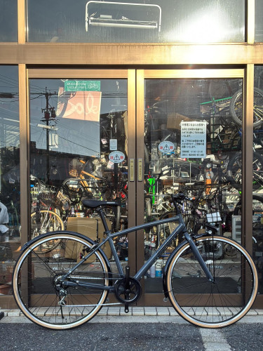 お洒落な限定車をGET！