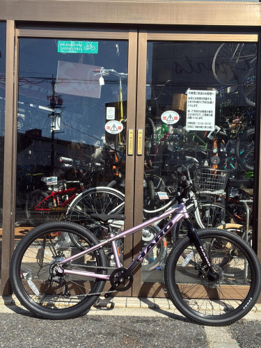 「映える」1台あります！