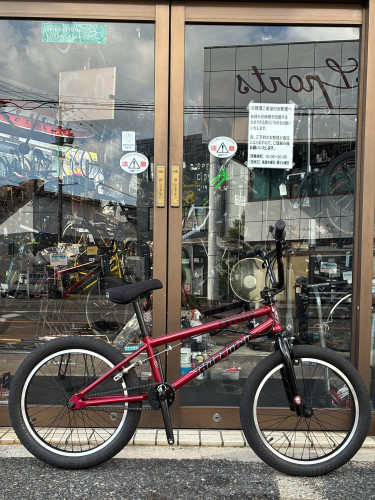 お買い得車あります！