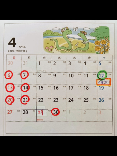 【 4 月の営業予定 】 ご予約お待ちしています🤗🍷(不定休です)