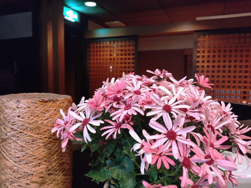 桂華