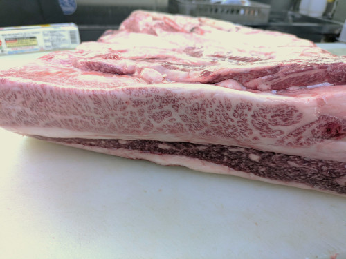 北海道産の雌牛
