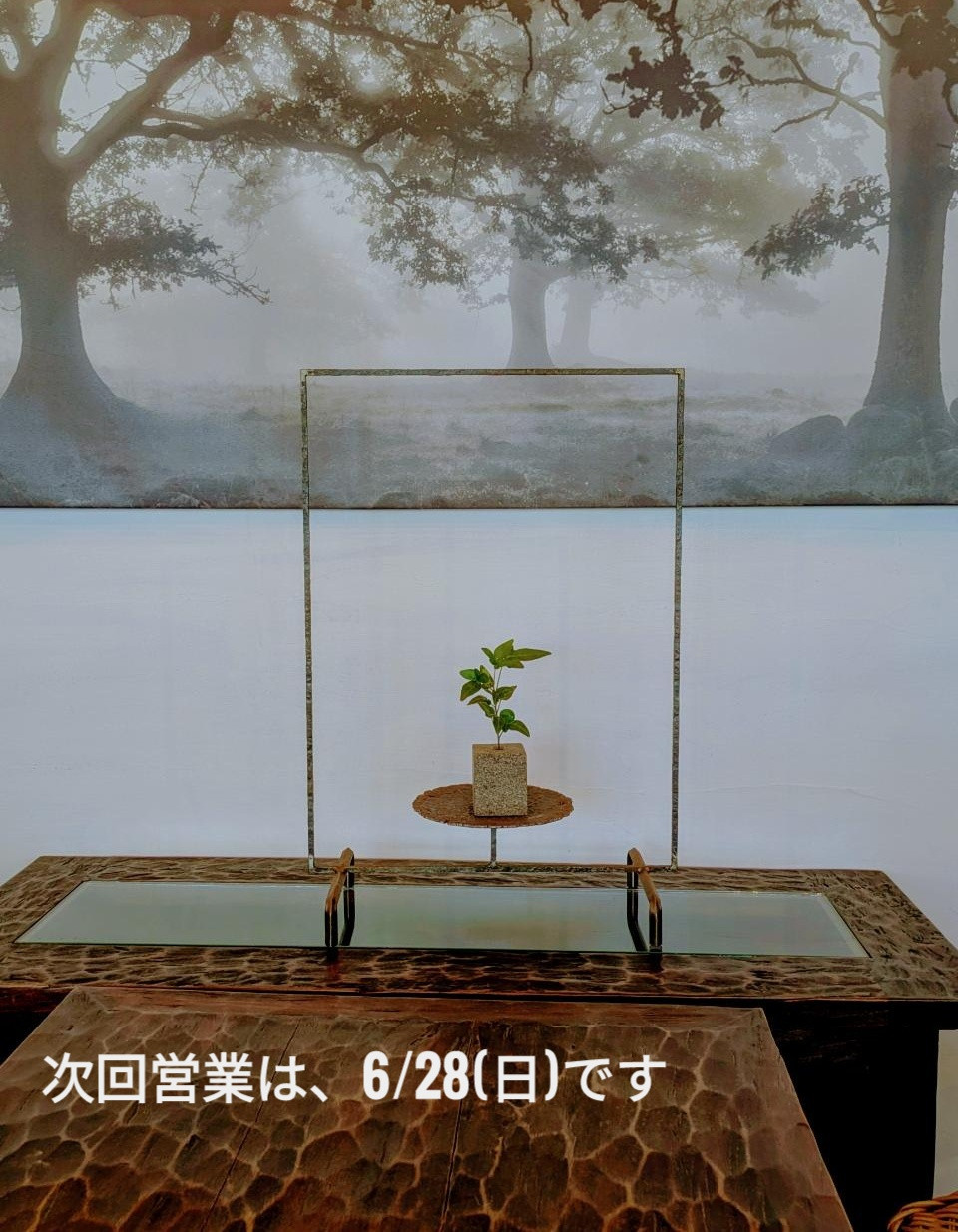 6/28日(日)筑西での太陽と月の珈琲の営業予定です