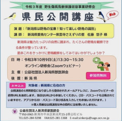 　「新潟県の野鳥」の公開講座がオンラインで開催されます