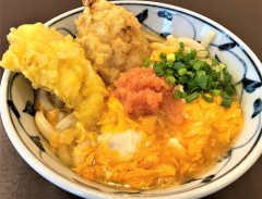 親子めんたいけいらんうどん