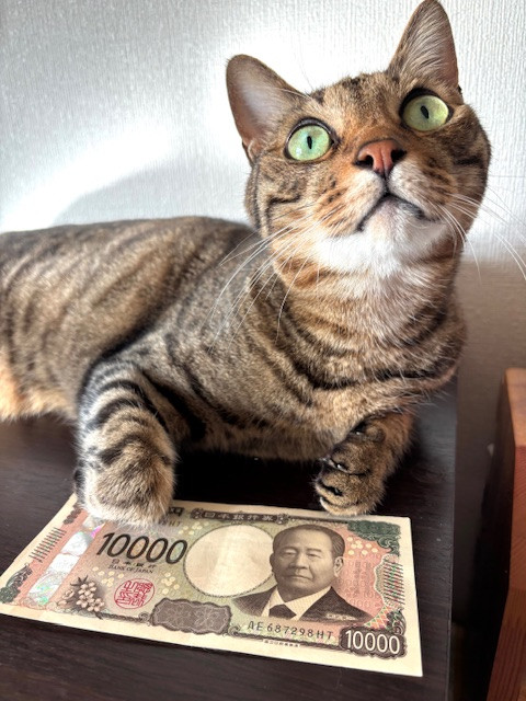 車買取・廃車買取