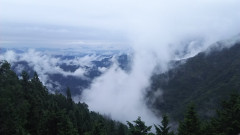 DSC_0216.JPG