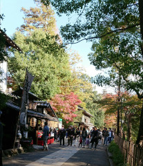 2018.11お寺.jpg