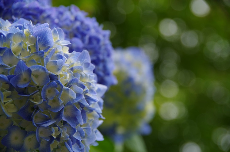 IMGP4304 - コピー.JPG