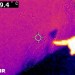 FLIR0056.jpg