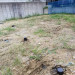 42632.jpg