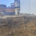 S__61636619.jpg