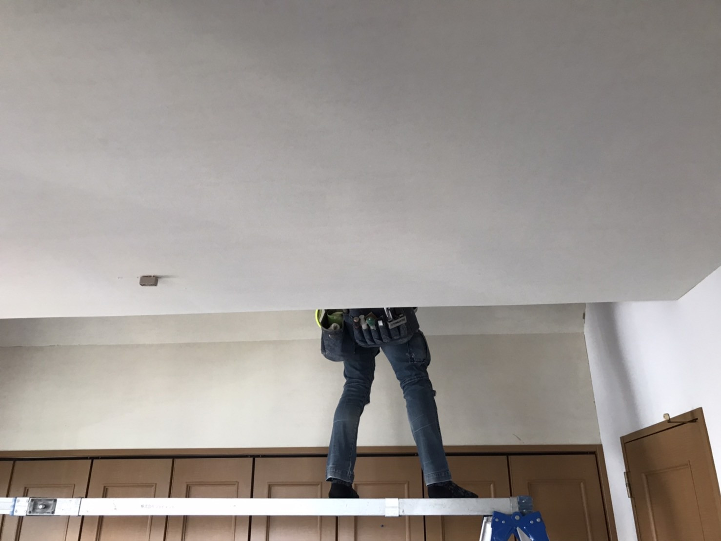 S__4882452.jpg