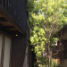 S__6397971.jpg