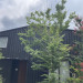 S__2244618.jpg
