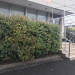 S__28737559.jpg